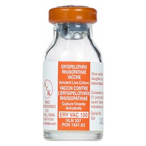 ERY VAC 100 Erysipelothrix Rhusiopathiae Vaccine for Swine  Arko Laboratories